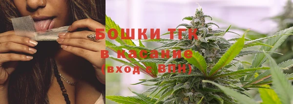 Альфа ПВП Горняк