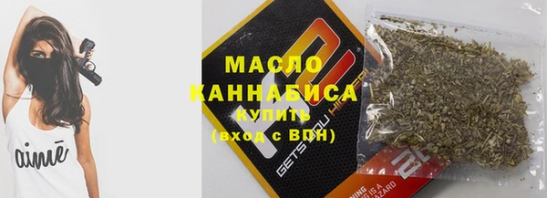 Альфа ПВП Горняк