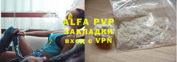 Альфа ПВП Горняк