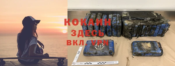 Альфа ПВП Горняк