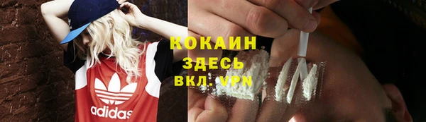 Альфа ПВП Горняк