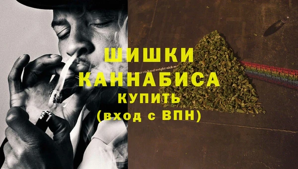Альфа ПВП Горняк