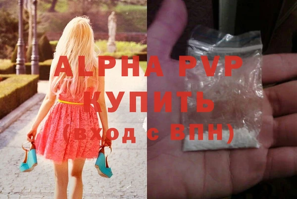 Альфа ПВП Горняк